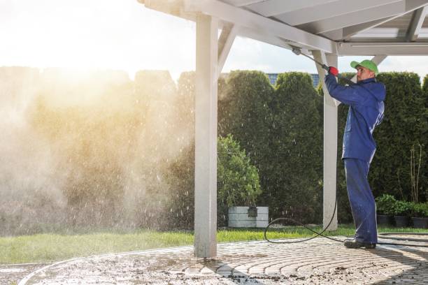Best Driveway Pressure Washing  in Lucasville, OH