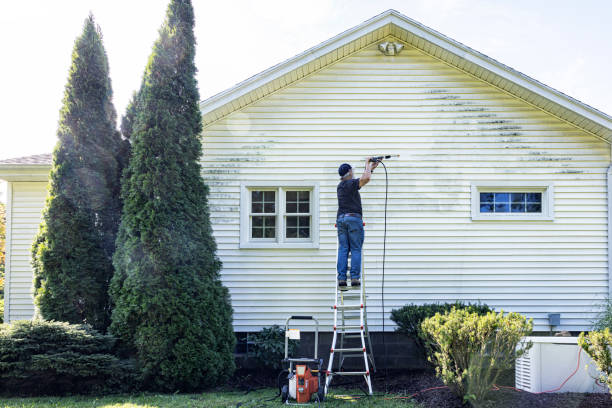 Best Solar Panel Cleaning  in Lucasville, OH